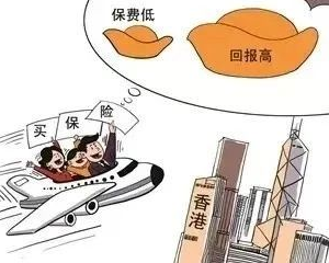 寻求长期稳定收益的美元资产，香港保险是最佳入场券